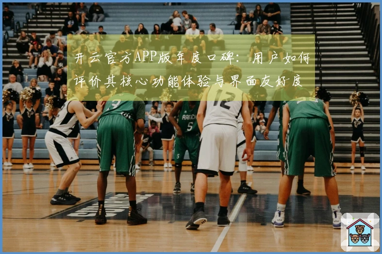 开云官方APP版年度口碑：用户如何评价其核心功能体验与界面友好度？