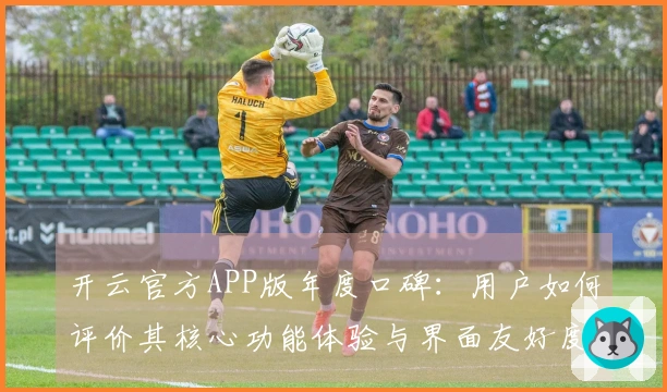 开云官方APP版年度口碑：用户如何评价其核心功能体验与界面友好度？