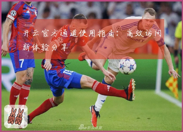 开云官方通道使用指南：高效访问新体验分享